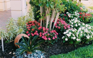 Lucky Landscaping News