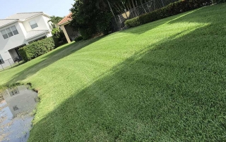 Lawn Care Jupiter