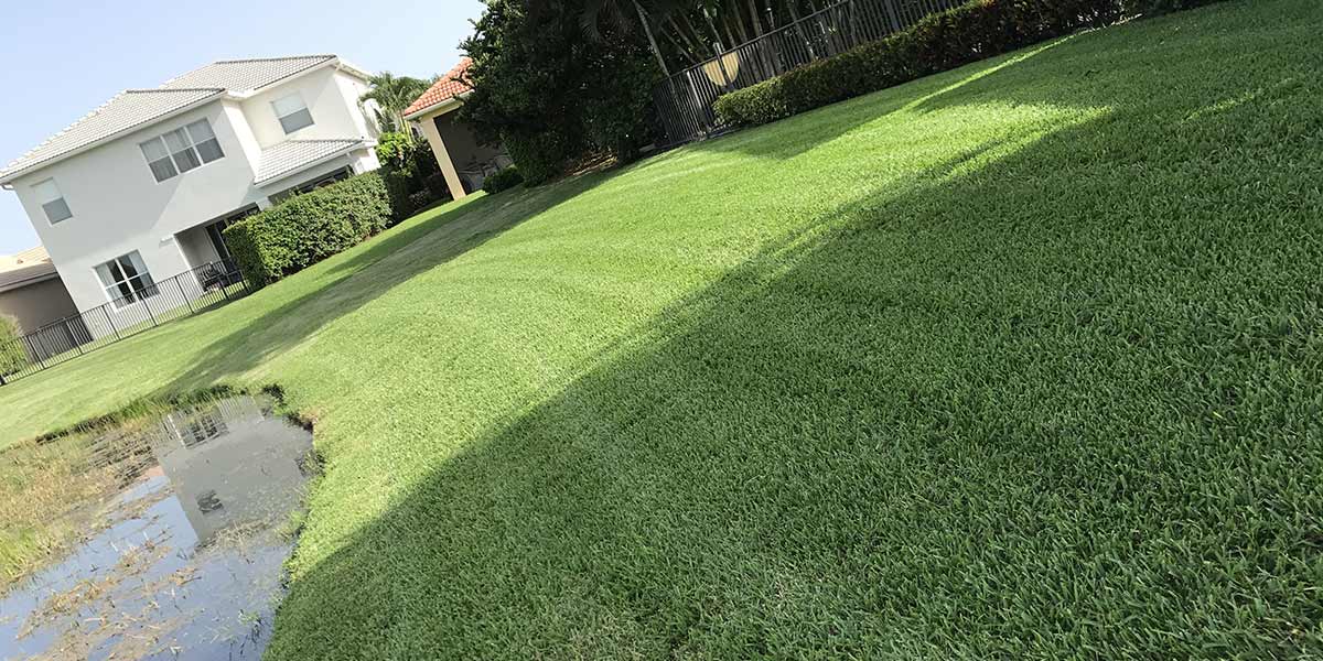 Lawn Care Jupiter