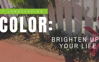 Color In Your Garden