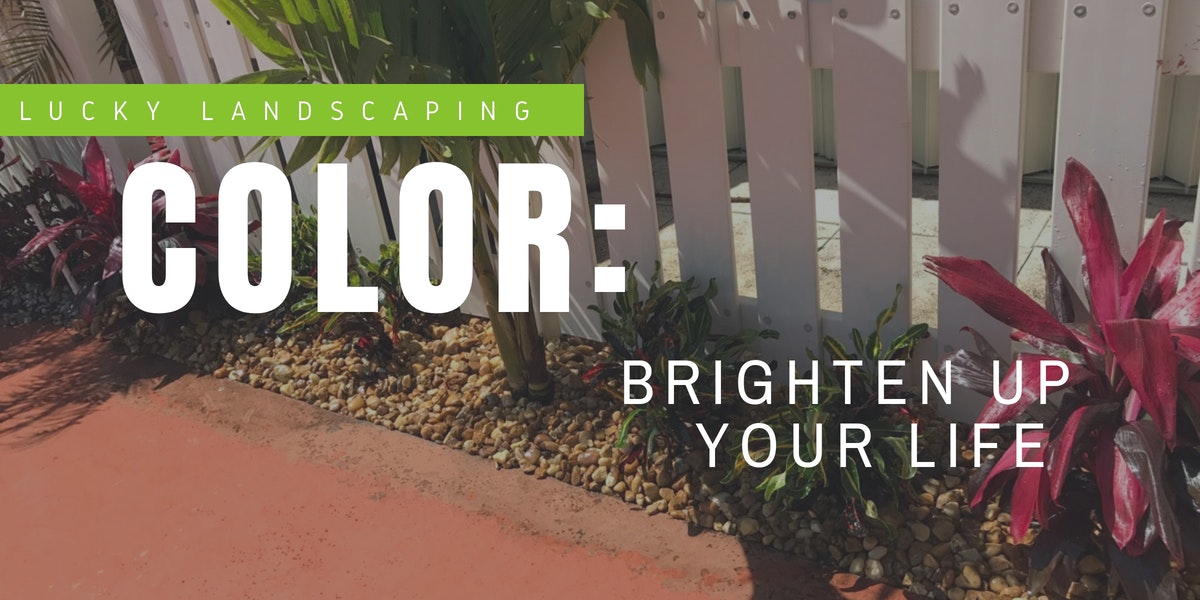 Color In Your Garden