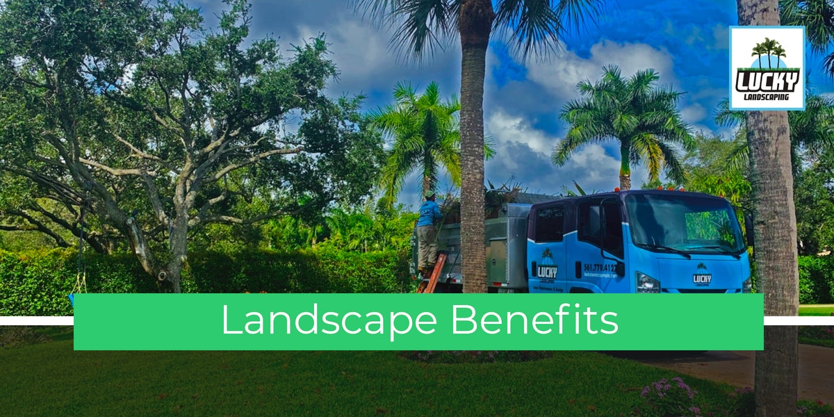 Landscape Benefits