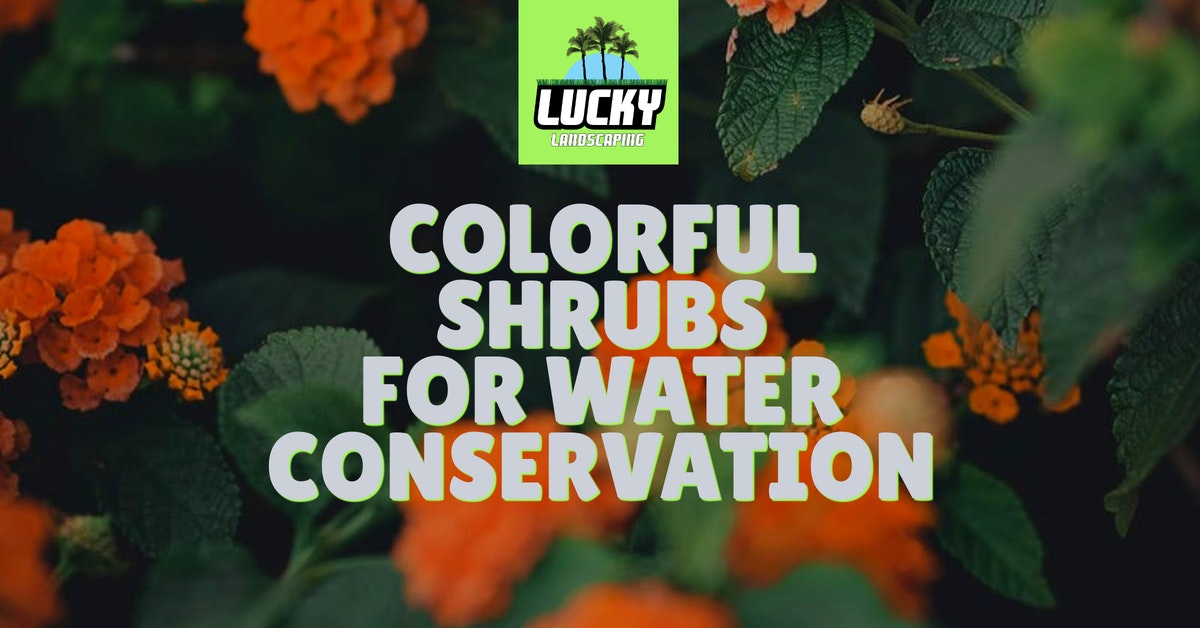 Colorful Shrubs