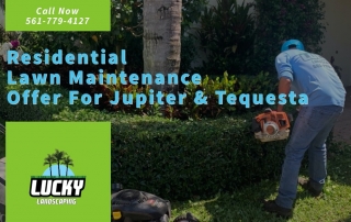 Lawn Maintenance in Jupiter