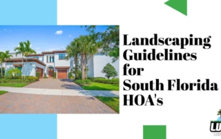 Landscaping Guidelines South Florida