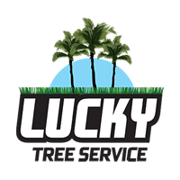 Tree Service South Florida