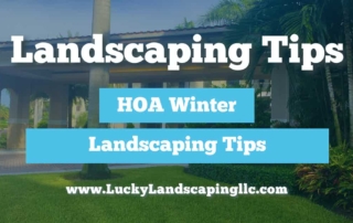 Landscaping Tips