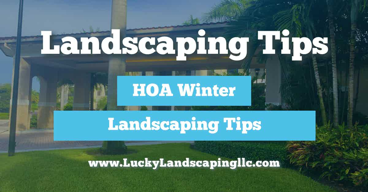 Landscaping Tips