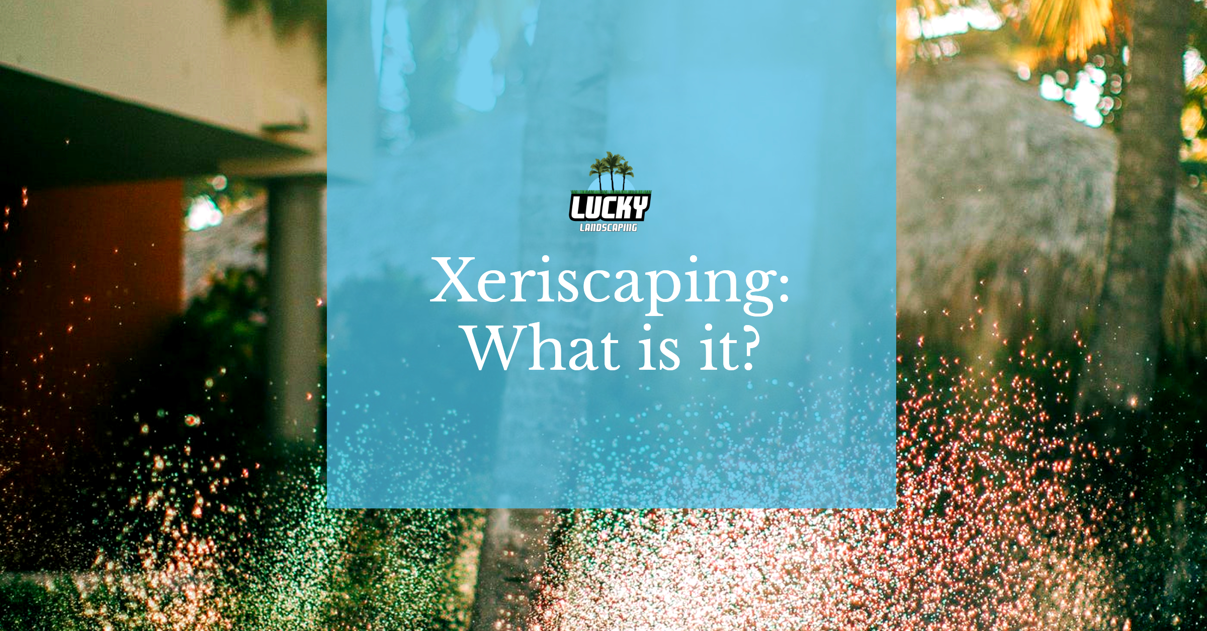 Xeriscaping