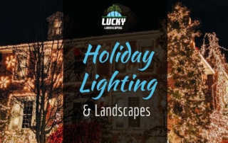 Holiday Lighting and Landscapes