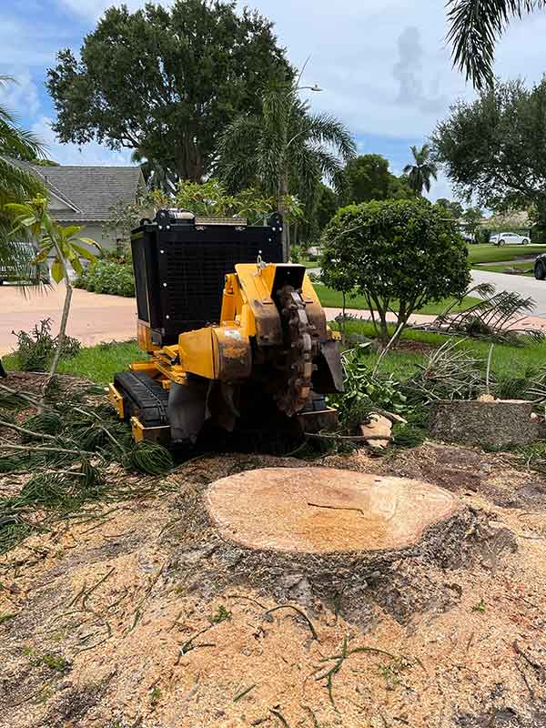 Stump Grinding