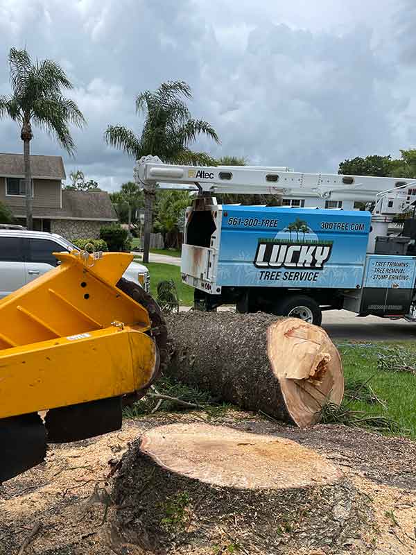 Commercial Landscaping